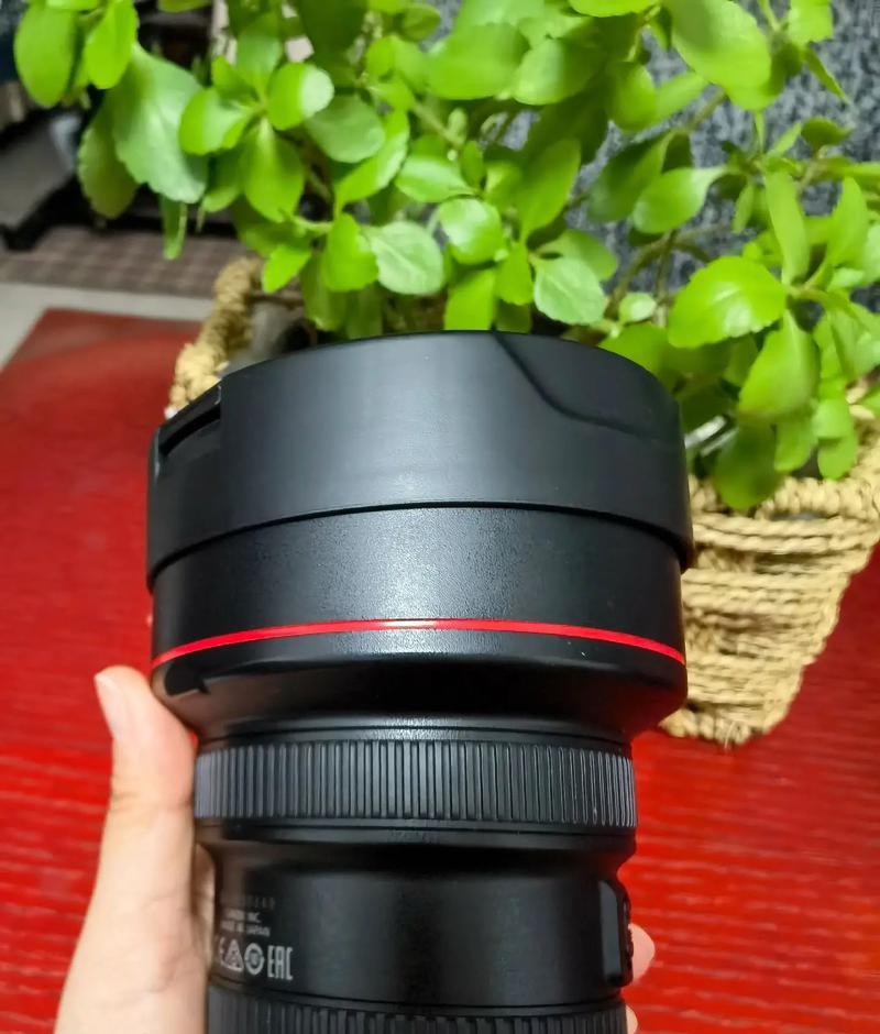 佳能28-135镜头的使用体验（适合多种场景拍摄的佳能28-135镜头简析）-第1张图片-数码乐园